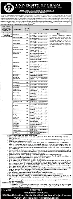 University of Okara Jobs 2025 1 University of Okara Jobs