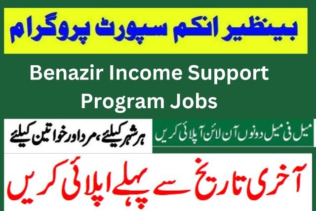 Benazir Income Support Program Jobs