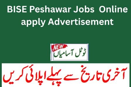 BISE Peshawar Jobs 2025 Online apply Advertisement 9 BISE Peshawar Jobs 2025 Online apply Advertisement